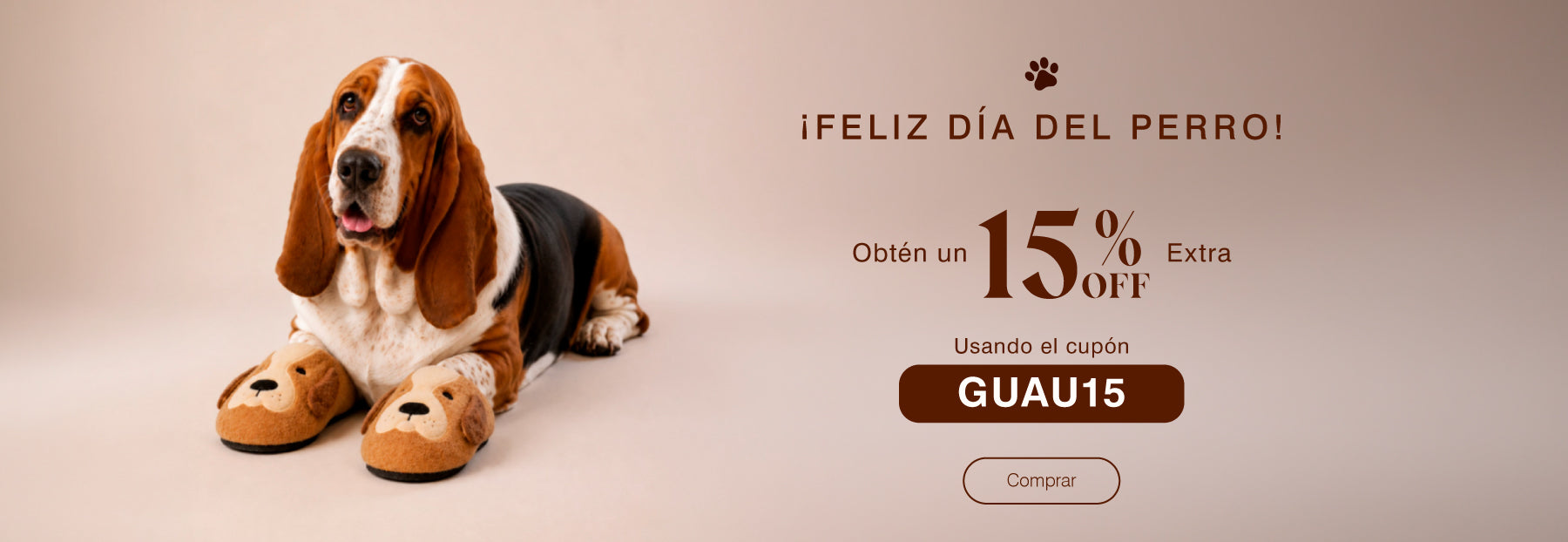 Imagen de diapositiva