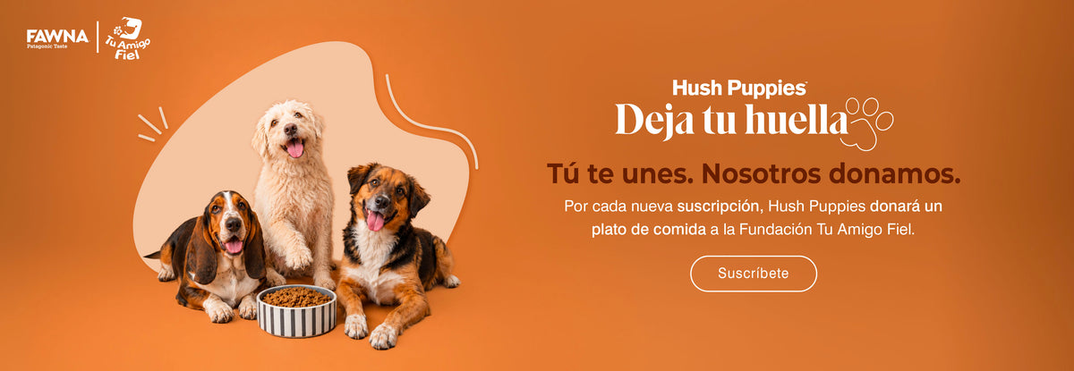 Imagen de diapositiva