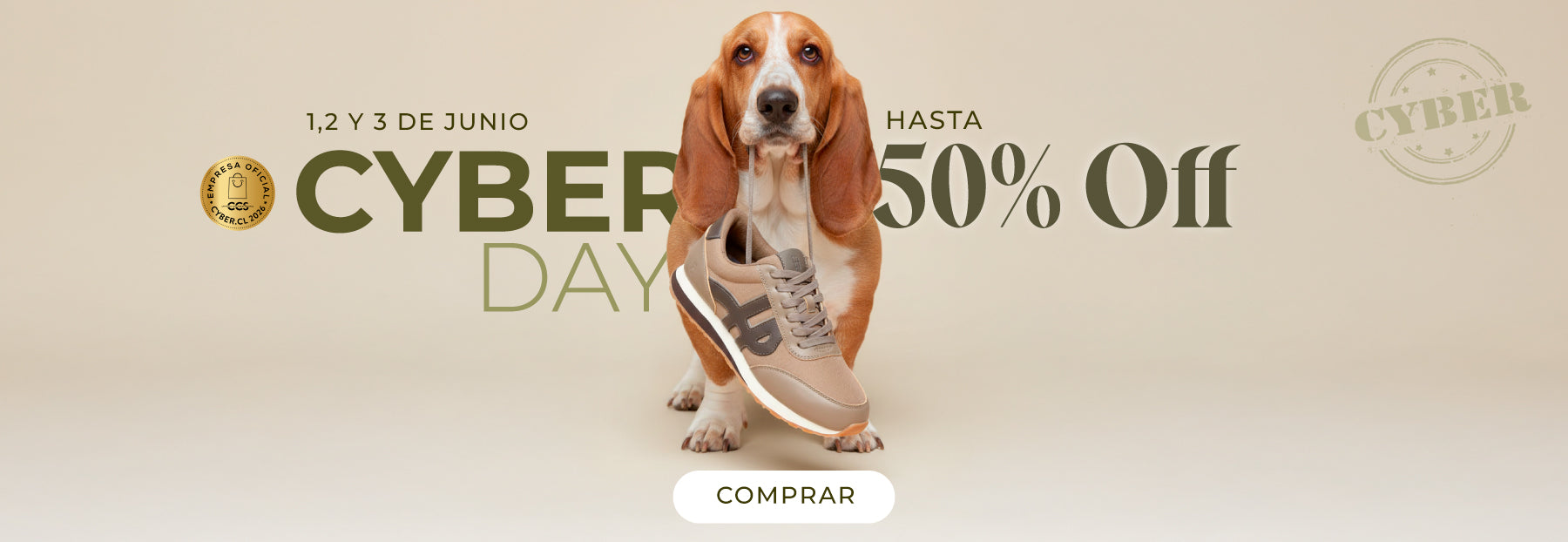 Imagen de diapositiva
