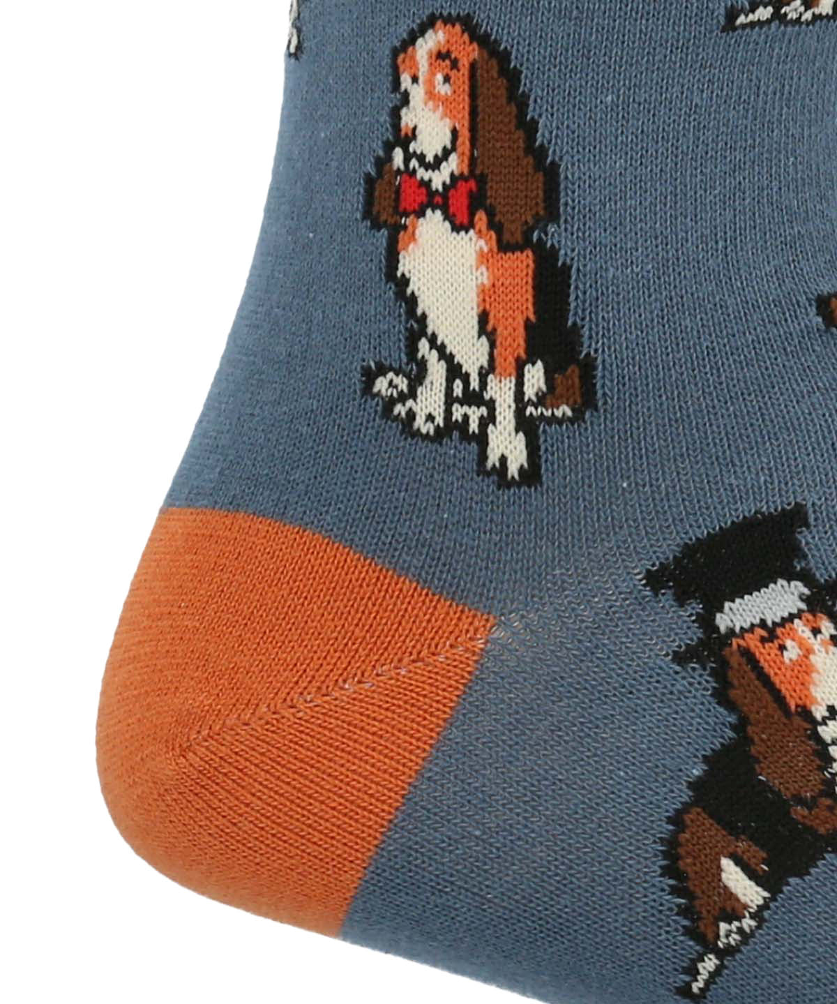 Calcetin Algodón Hombre C Hat Basset Azul Hush Puppies | Hush Puppies