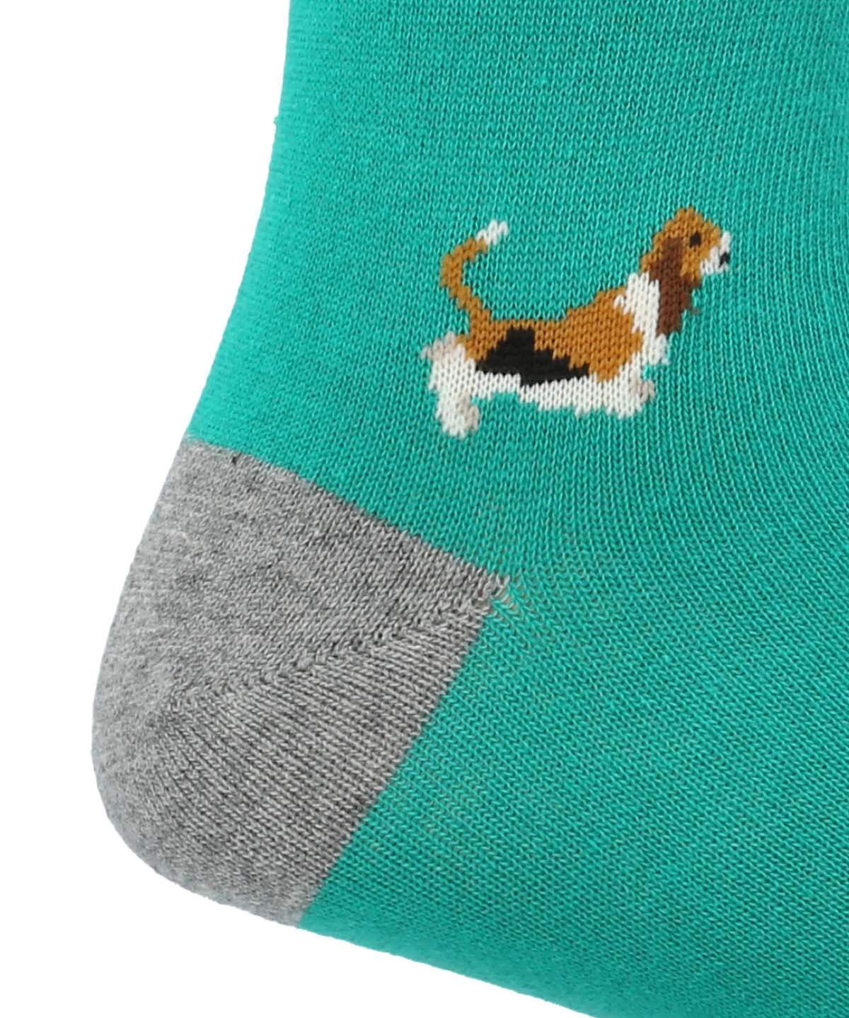 Calcetin Algodón Hombre C Basset Verde Hush Puppies | Hush Puppies