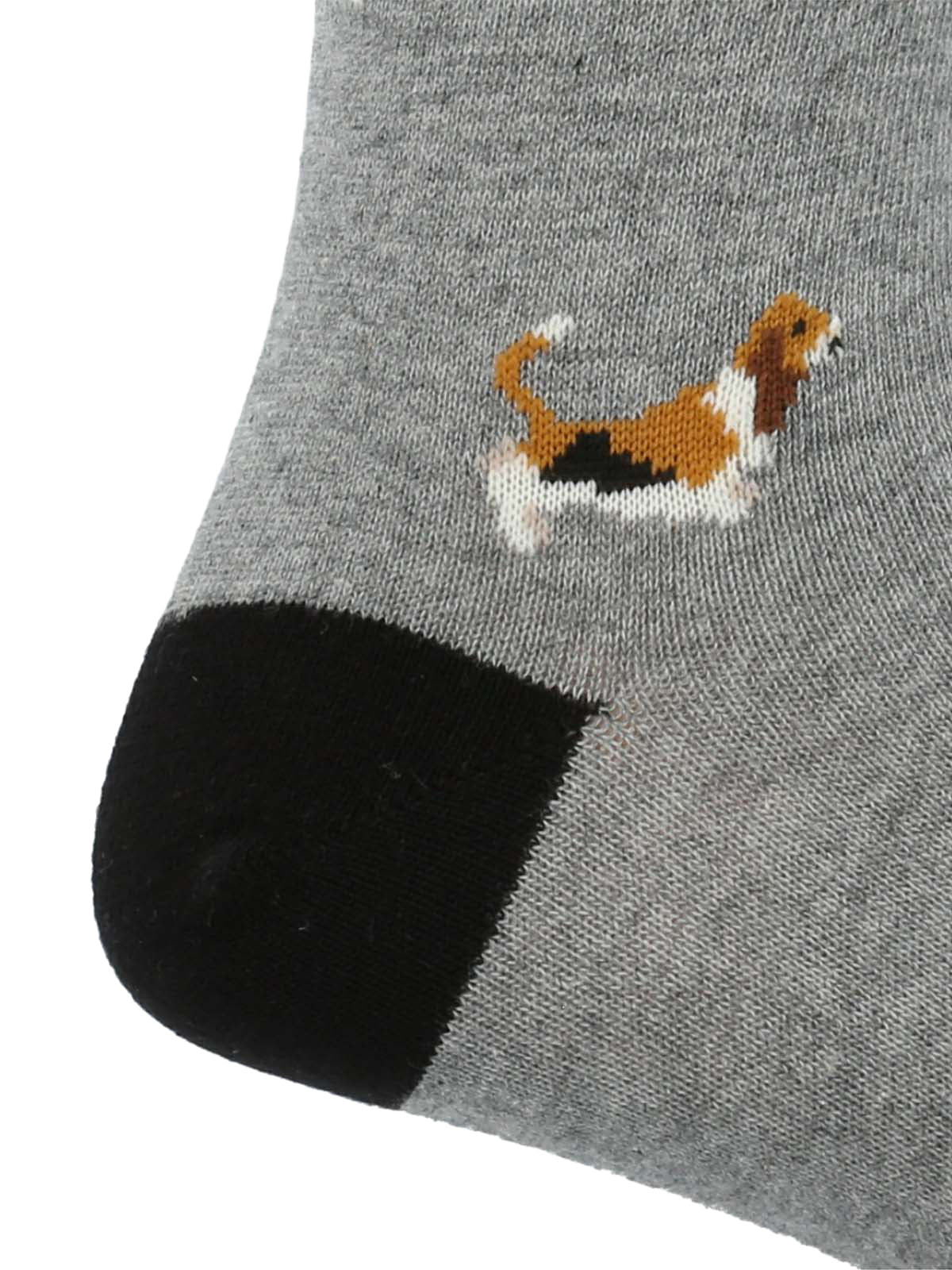 Calcetin Algodón Hombre C Basset Gris Hush Puppies | Hush Puppies