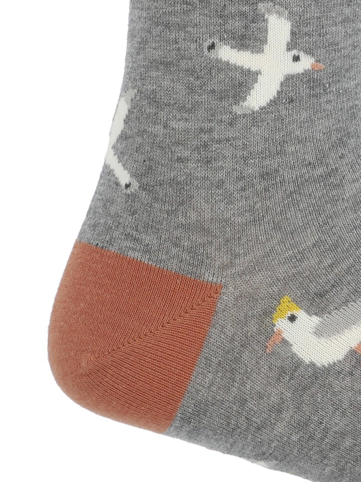 Calcetin Algodón Hombre C Seagull Gris Hush Puppies