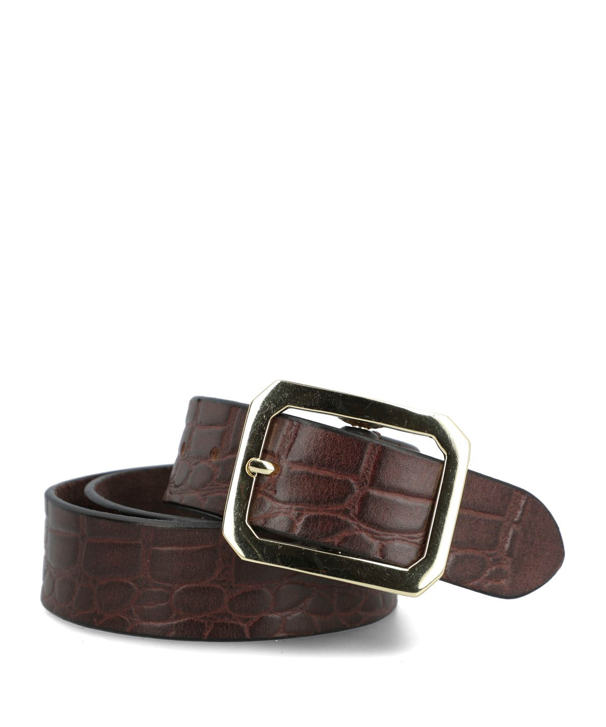 Cinturon Cuero Mujer Hpw Croco Café Hush Puppies