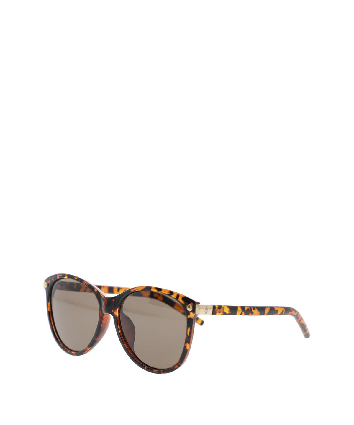 Anteojos Acetato Mujer Hp Bibury Glasses Café Hush Puppies