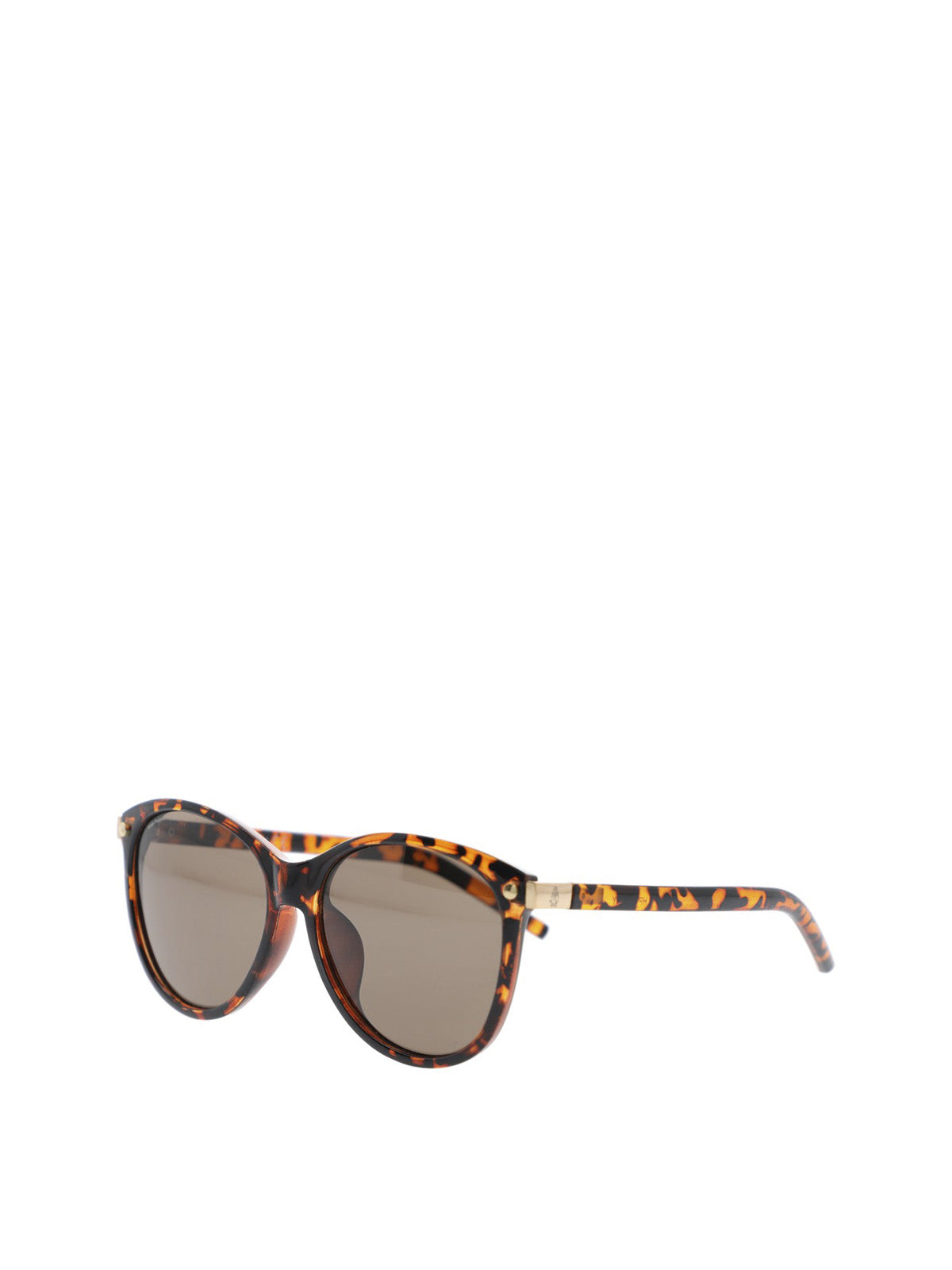Anteojos Acetato Mujer Hp Bibury Glasses Café Hush Puppies