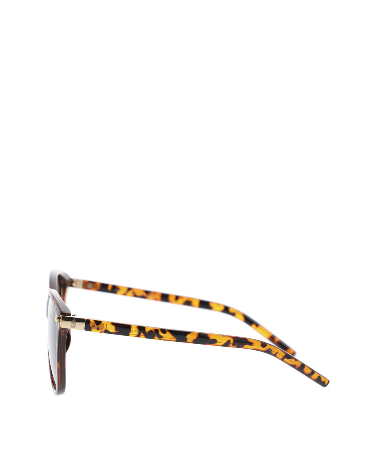 Anteojos Acetato Mujer Hp Bibury Glasses Café Hush Puppies