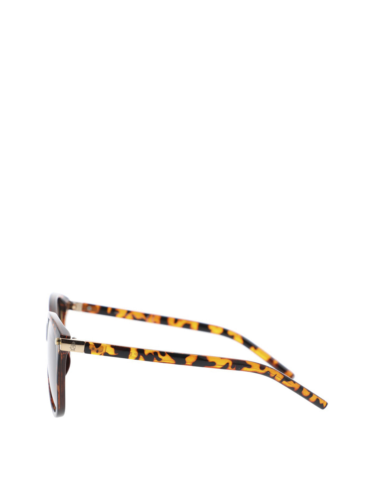 Anteojos Acetato Mujer Hp Bibury Glasses Café Hush Puppies