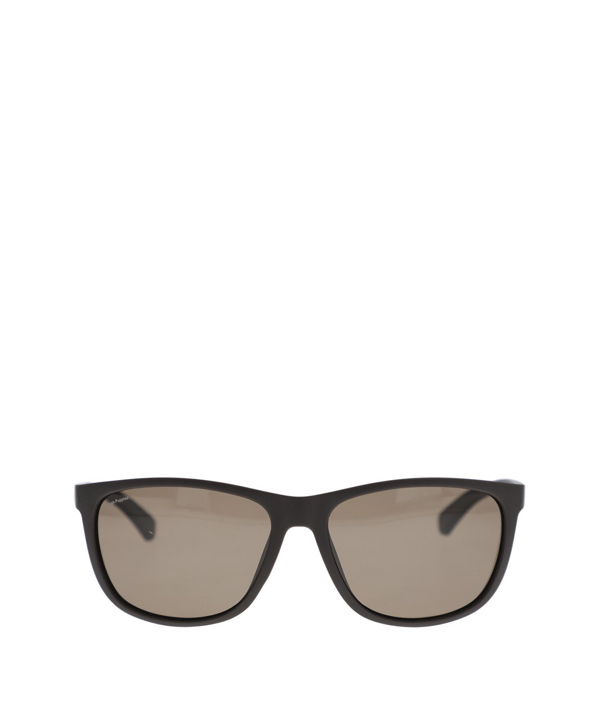 Anteojos Acetato Hombre Hp Berk Glasses Café Hush Puppies