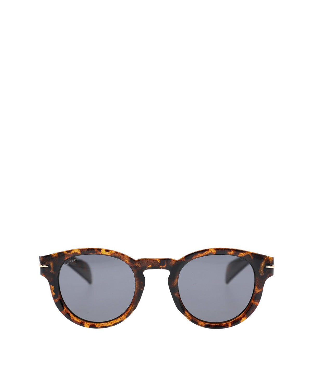 Anteojos Acetato Mujer Hp Clovelly Glasses Café Hush Puppies
