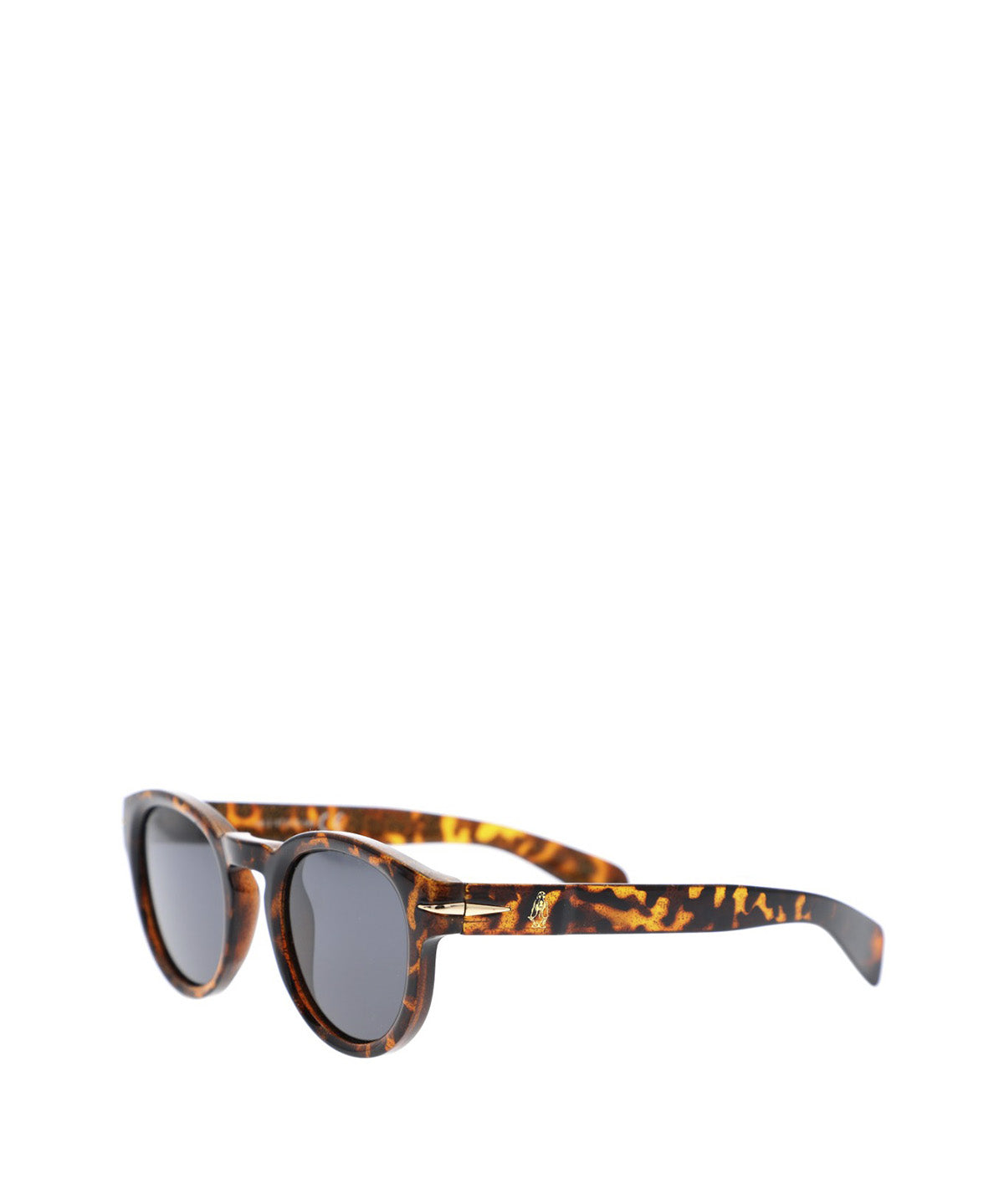 Anteojos Acetato Mujer Hp Clovelly Glasses Café Hush Puppies
