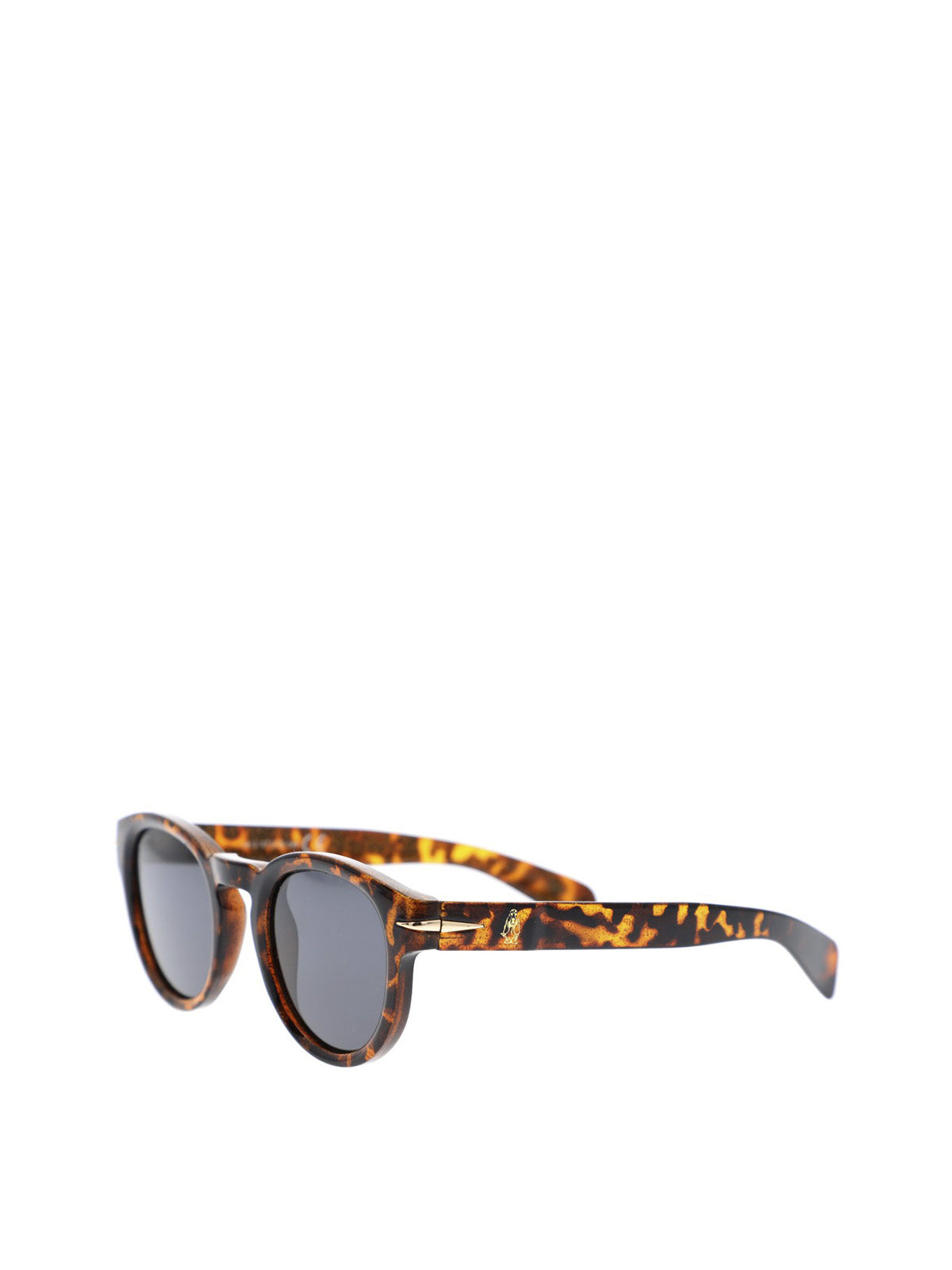 Anteojos Acetato Mujer Hp Clovelly Glasses Café Hush Puppies