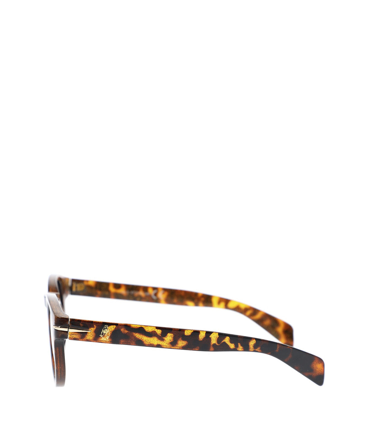 Anteojos Acetato Mujer Hp Clovelly Glasses Café Hush Puppies