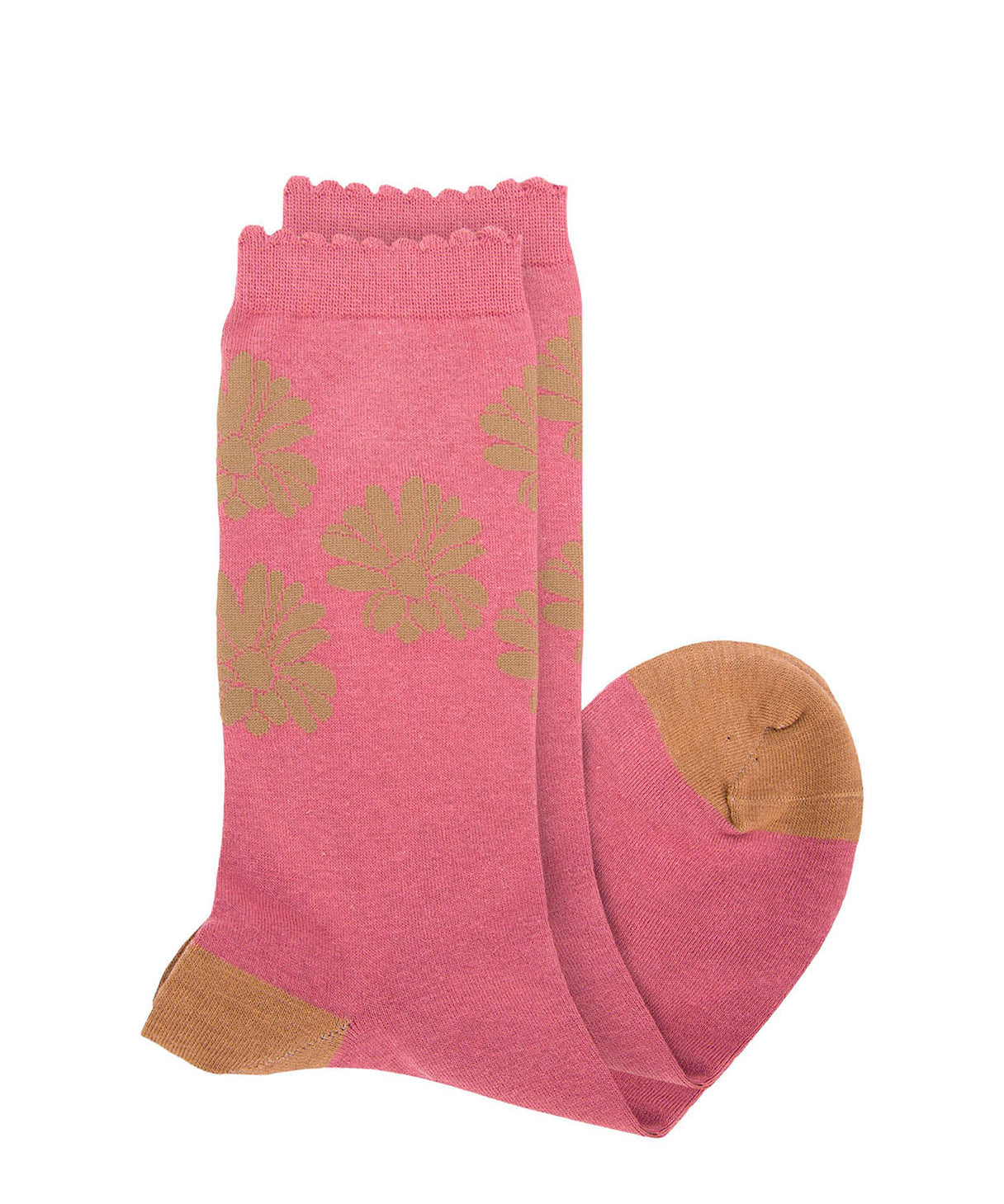 Calcetin Algodón Mujer C St Rose Rosado Hush Puppies