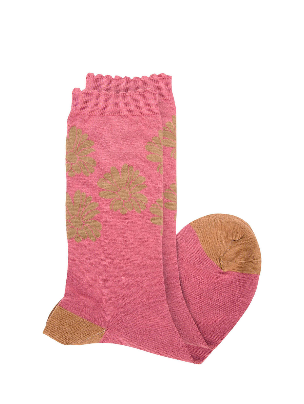 Calcetin Algodón Mujer C St Rose Rosado Hush Puppies