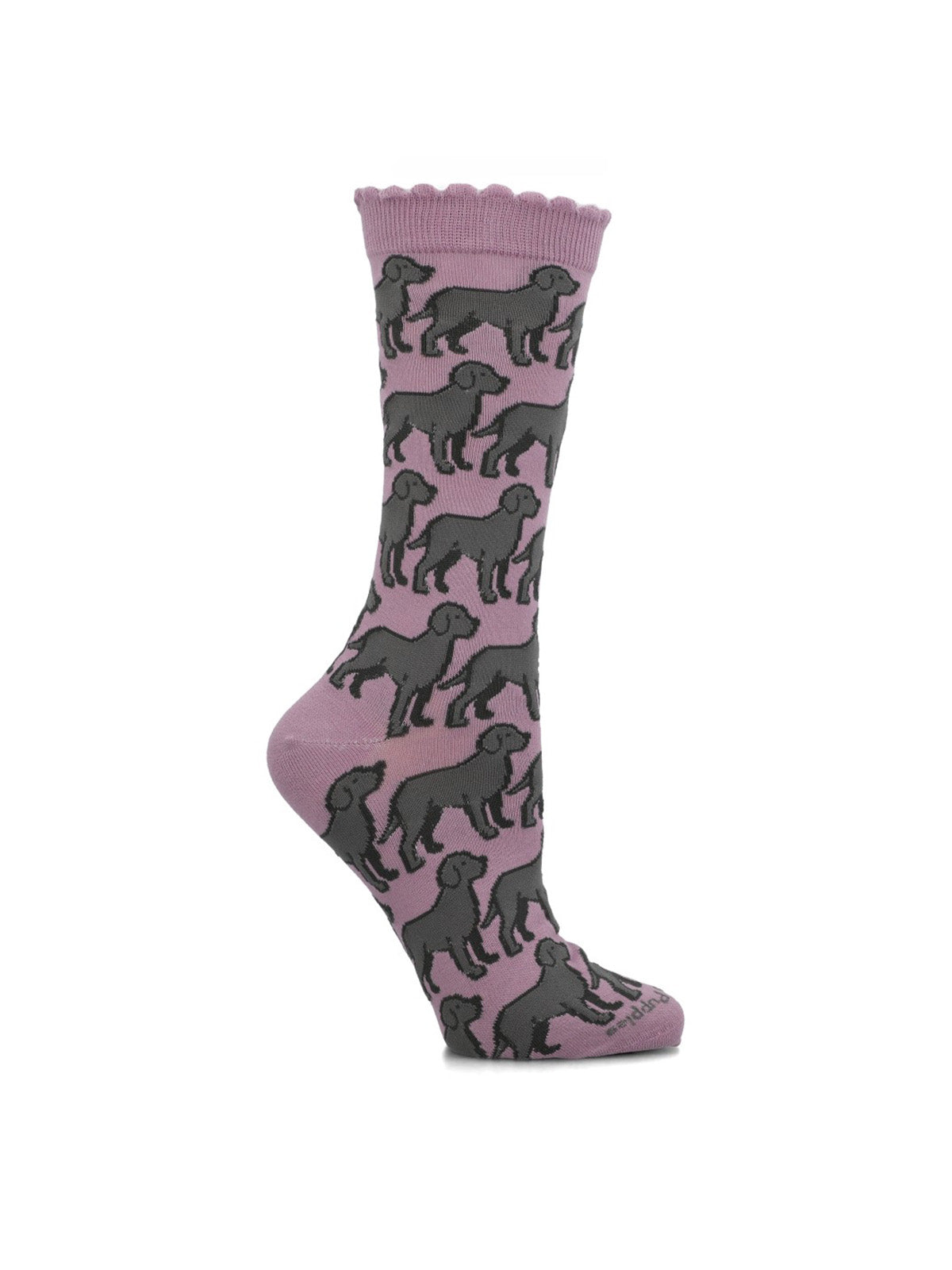 Calcetin Algodón Mujer C St Golden Morado Hush Puppies