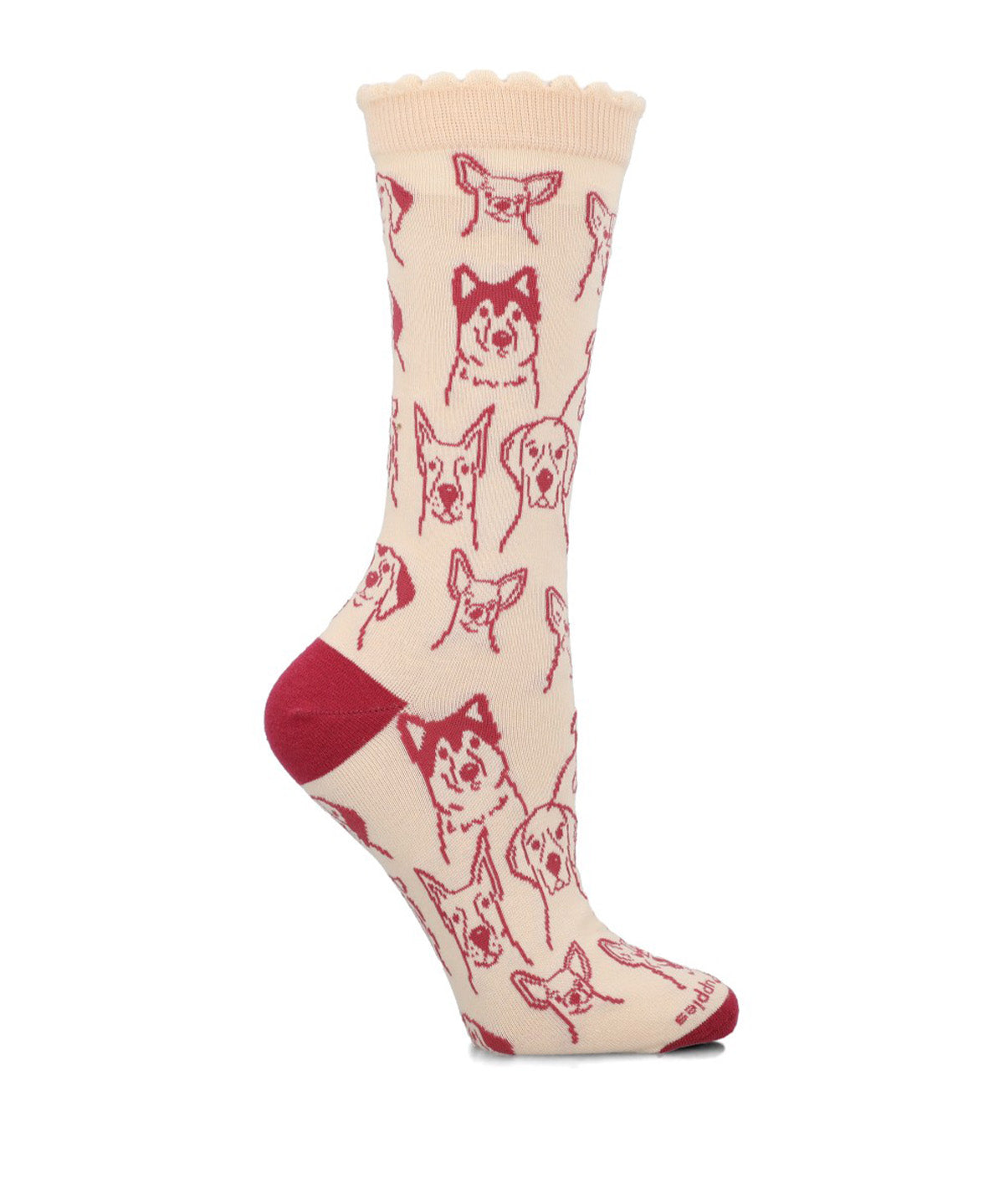Calcetin Algodón Mujer C St Dogs Beige Hush Puppies