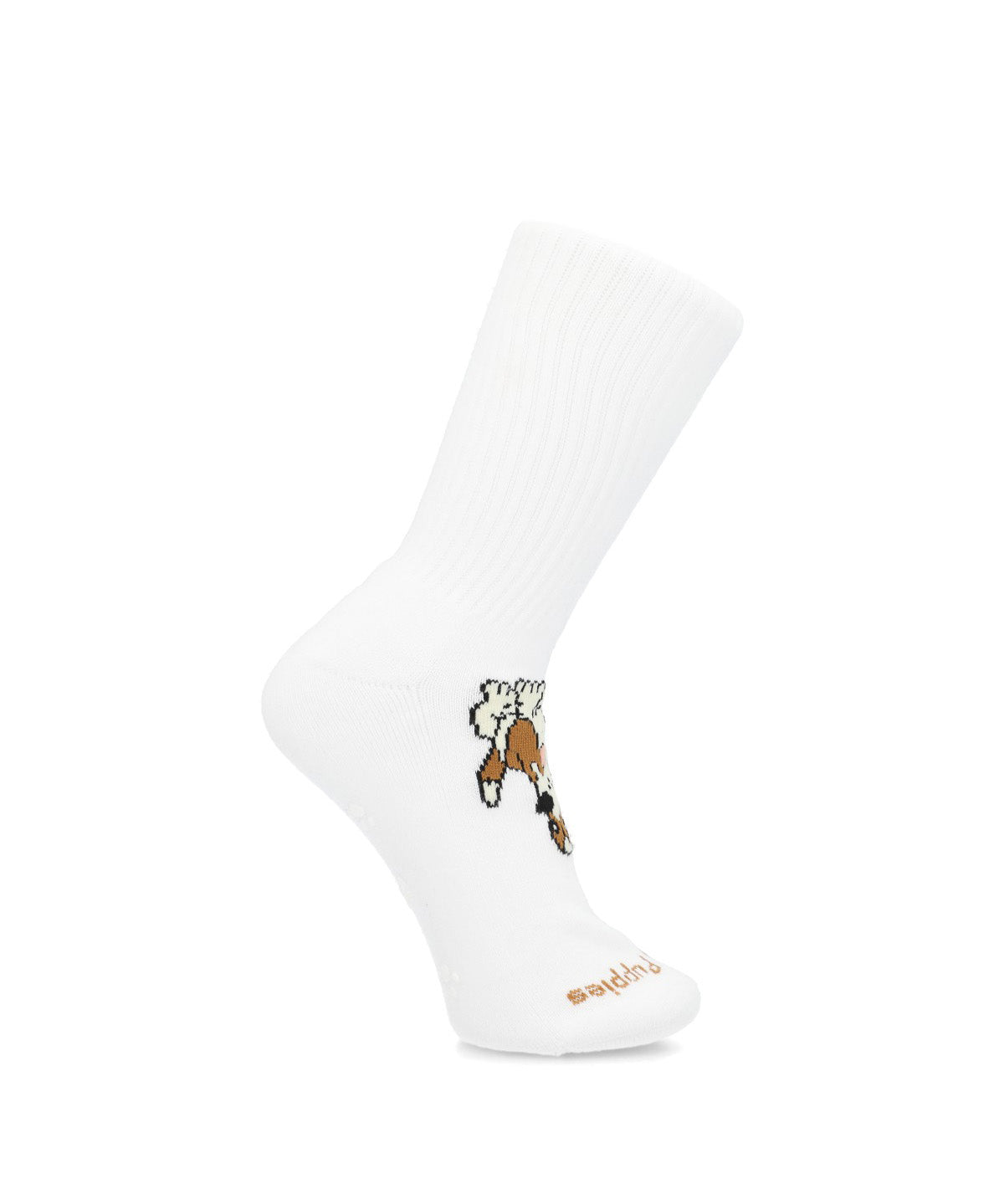 Calcetin Algodón Niño Dog Sportrib Blanco Hush Puppies