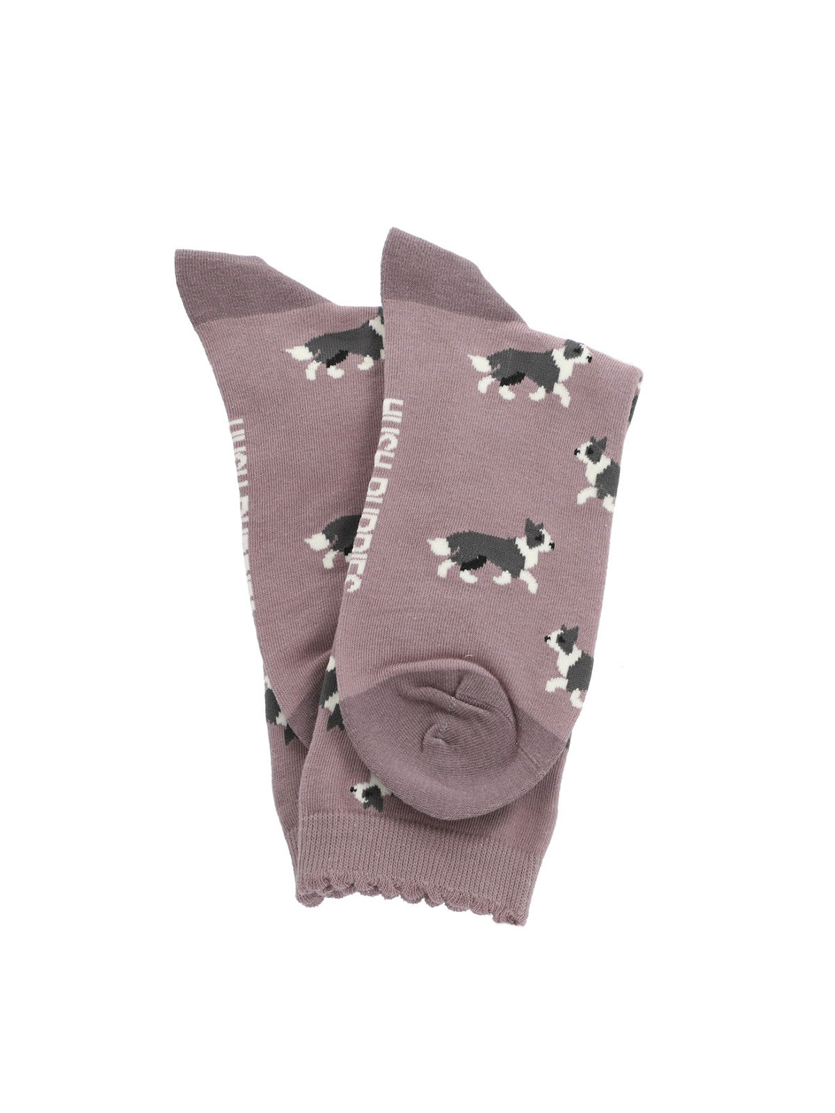 Calcetin Algodón Mujer C St Bordcollie Gris Hush Puppies