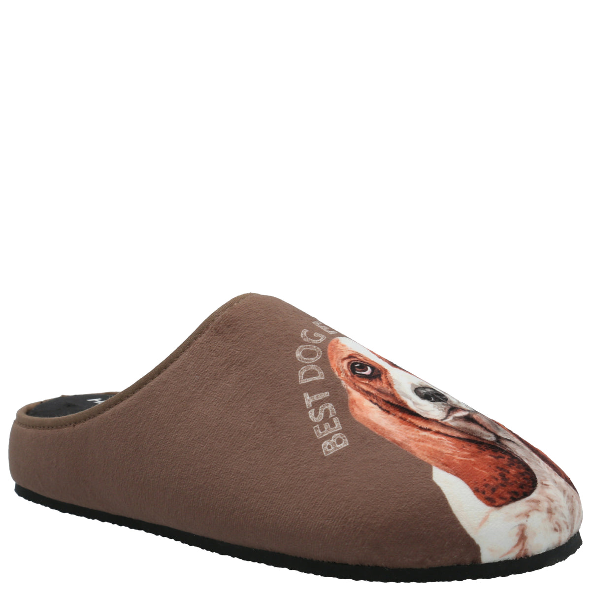 Pantufla  Unisex Hp Slipper Basset Café