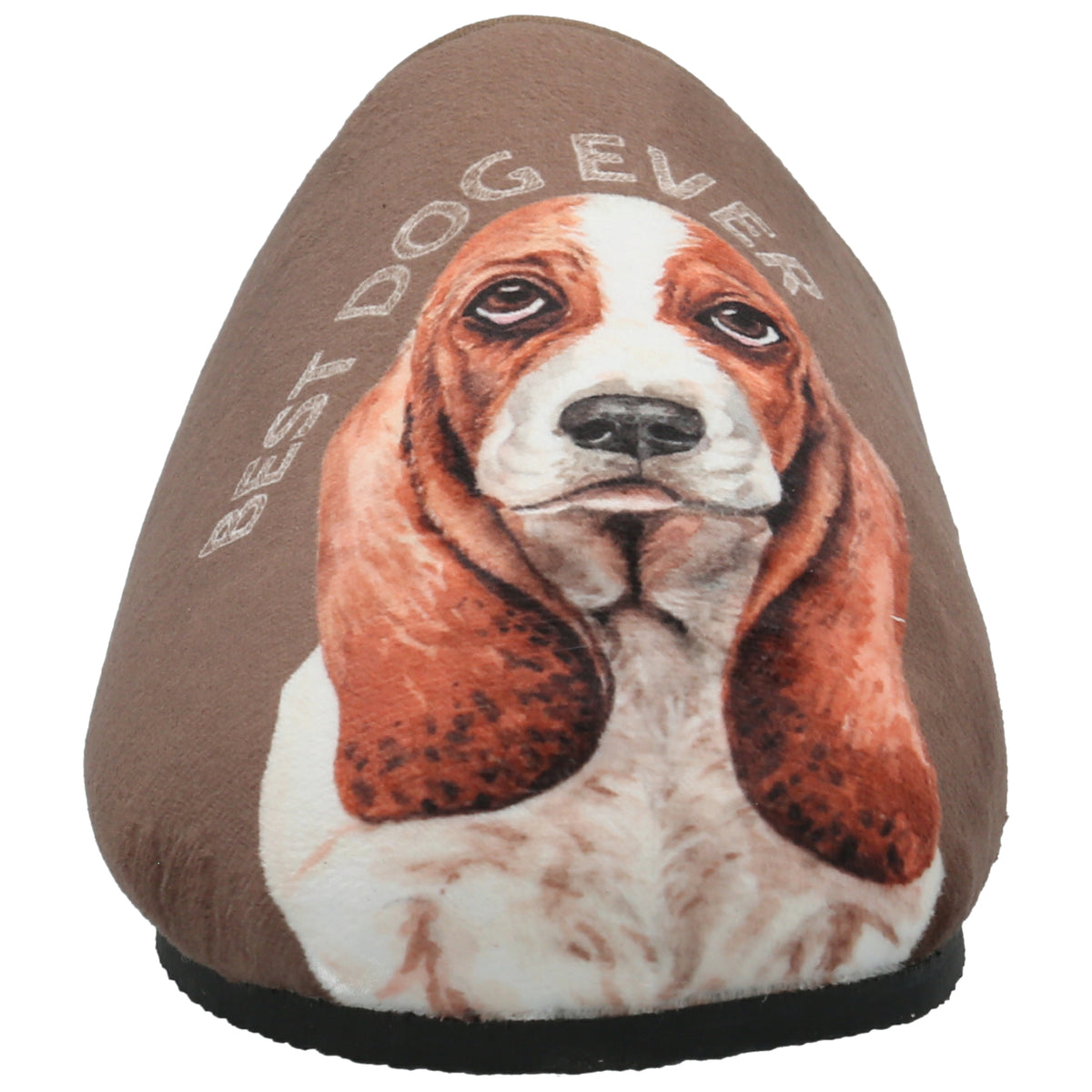 Pantufla  Unisex Hp Slipper Basset Café