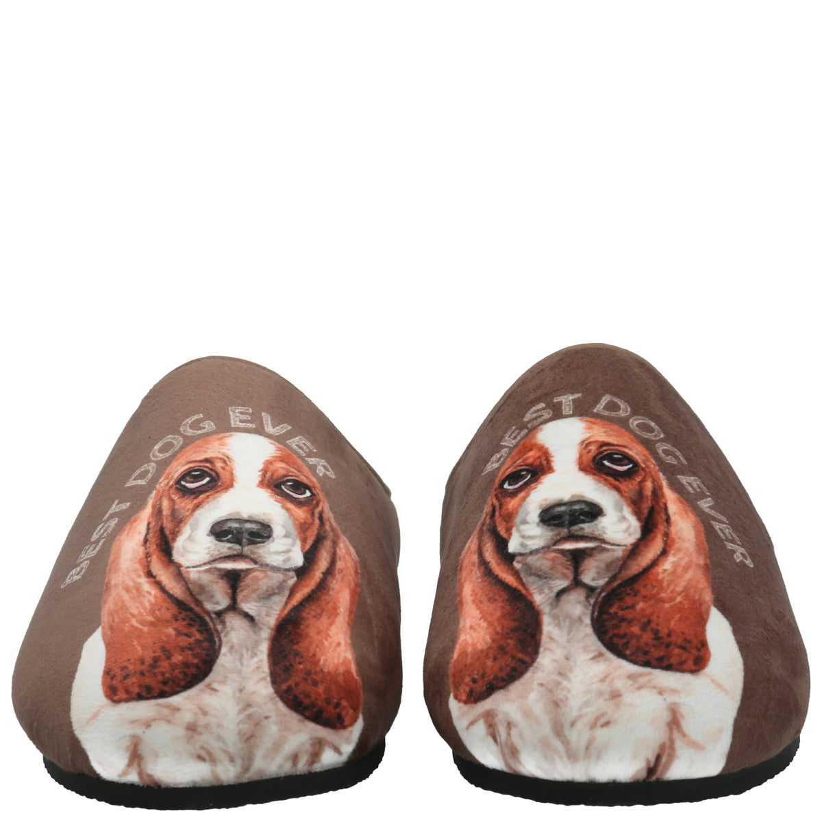 Pantufla  Unisex Hp Slipper Basset Café