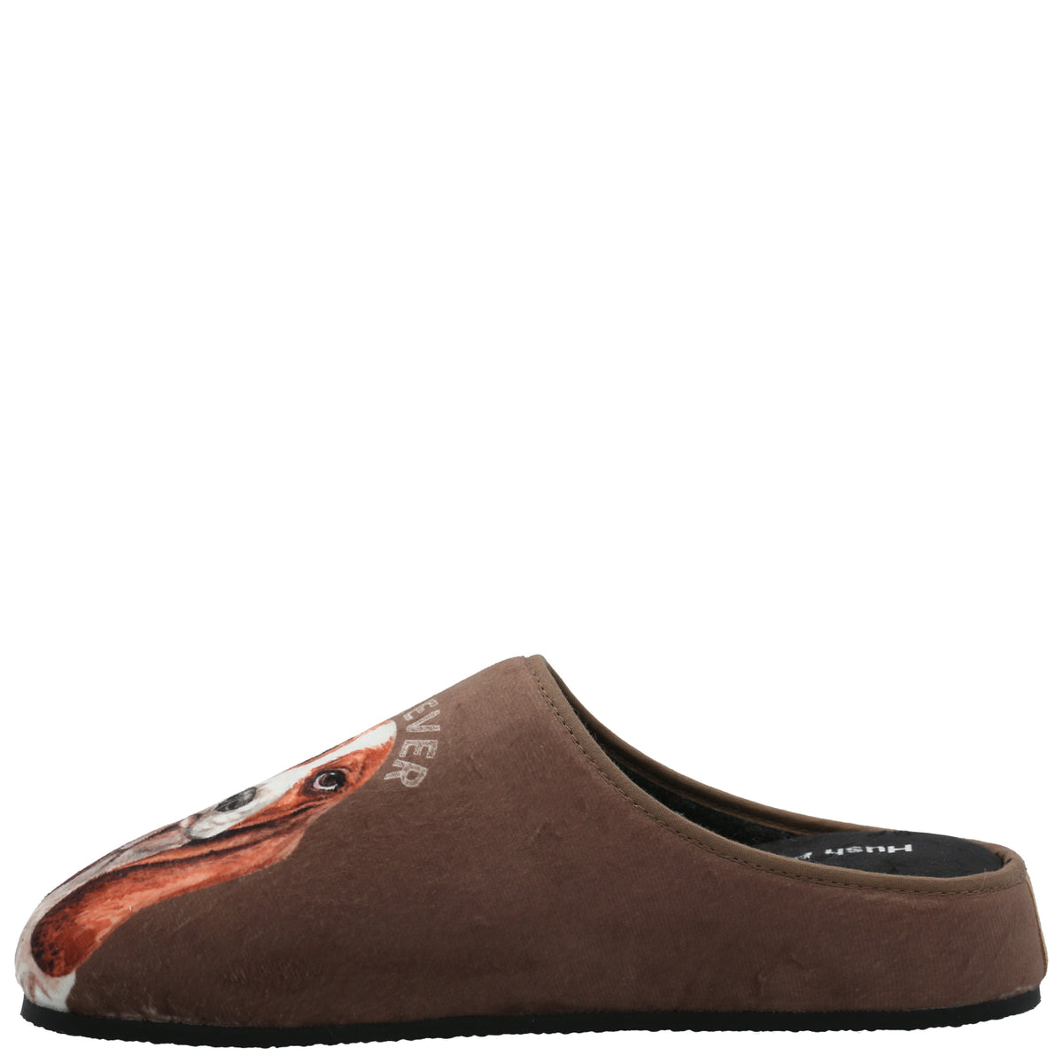 Pantufla  Unisex Hp Slipper Basset Café