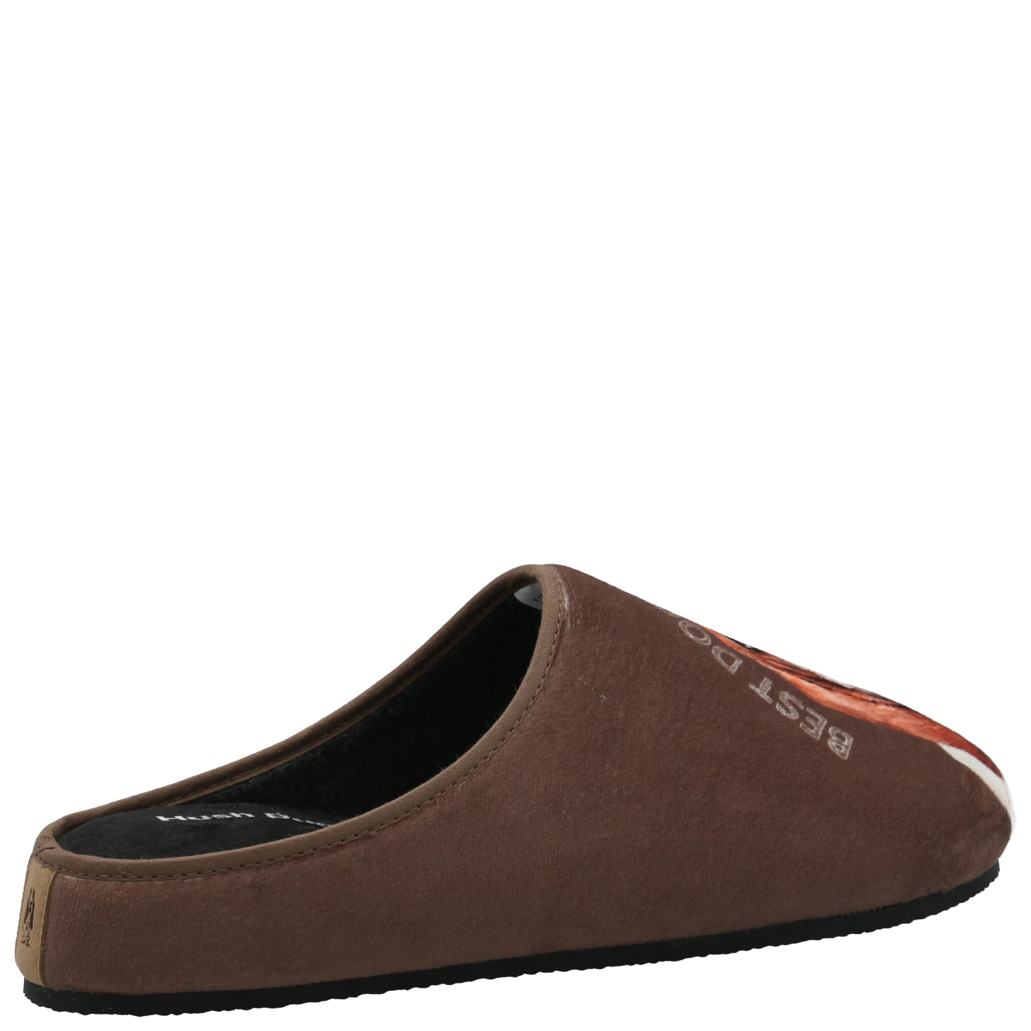 Pantufla  Unisex Hp Slipper Basset Café