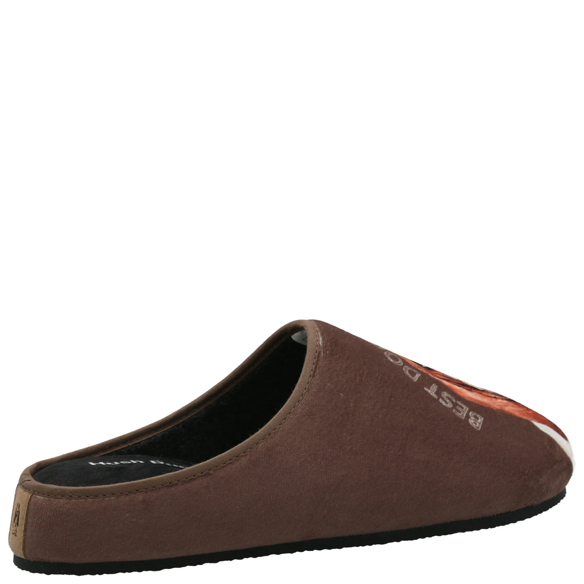 Pantufla  Unisex Hp Slipper Basset Café