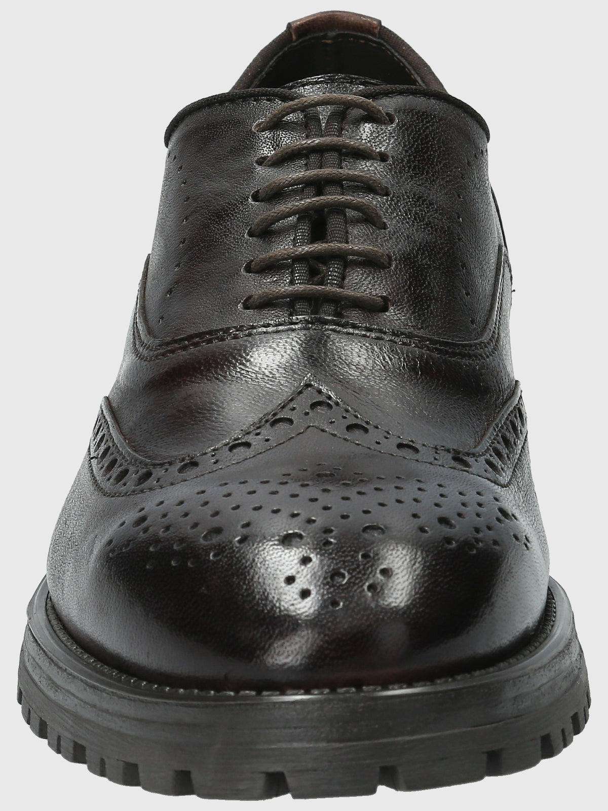 Zapato Cuero Hombre Prato Café-Hush Puppies Chile