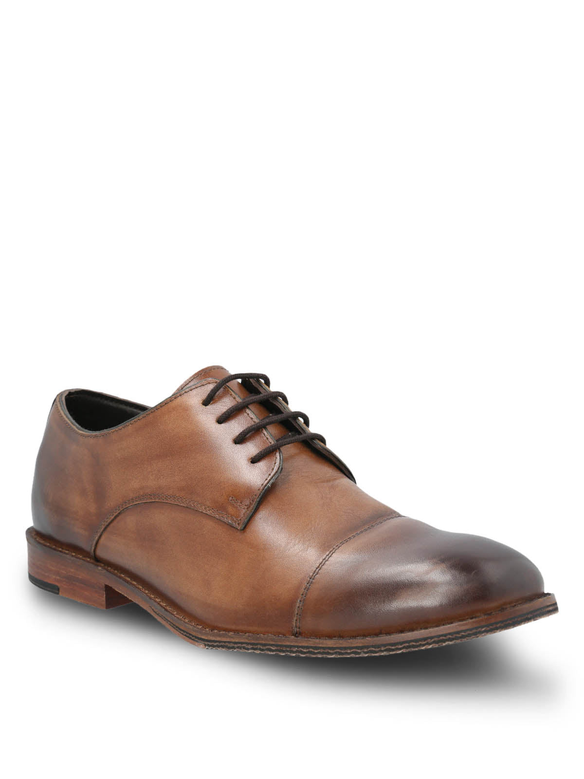 TAN[041