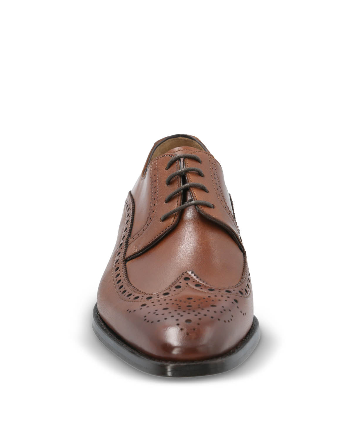 Zapato Vestir Cuero Hombre Marino Café