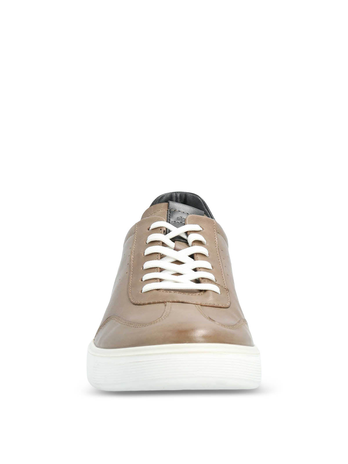 Zapatilla Cuero Hombre Bloor Café Hush Puppies