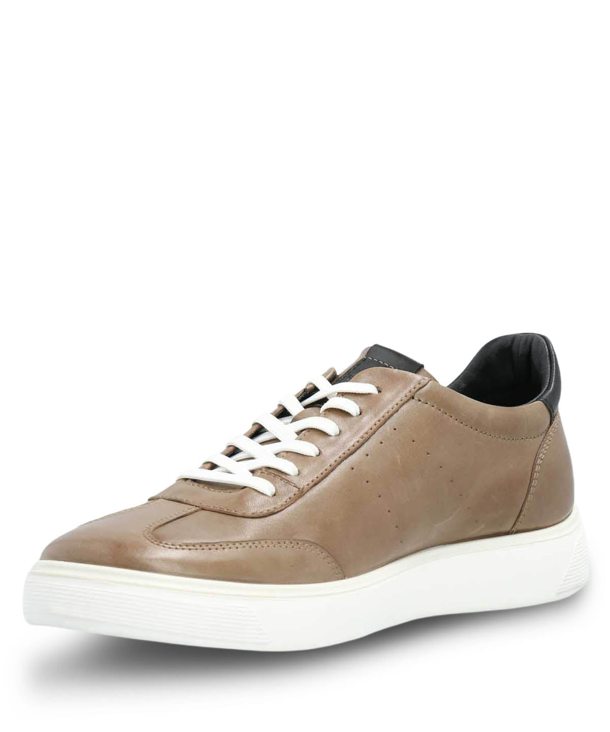 Zapatilla Cuero Hombre Bloor Café Hush Puppies