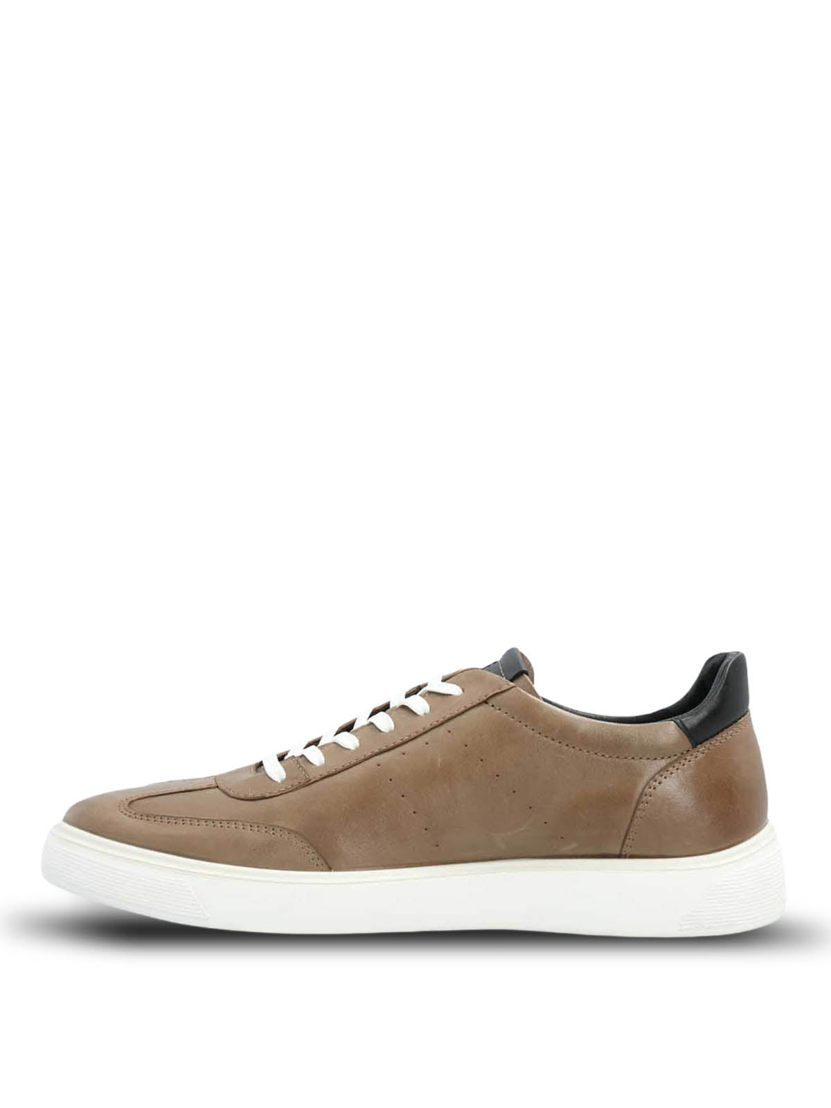 Zapatilla Cuero Hombre Bloor Café Hush Puppies