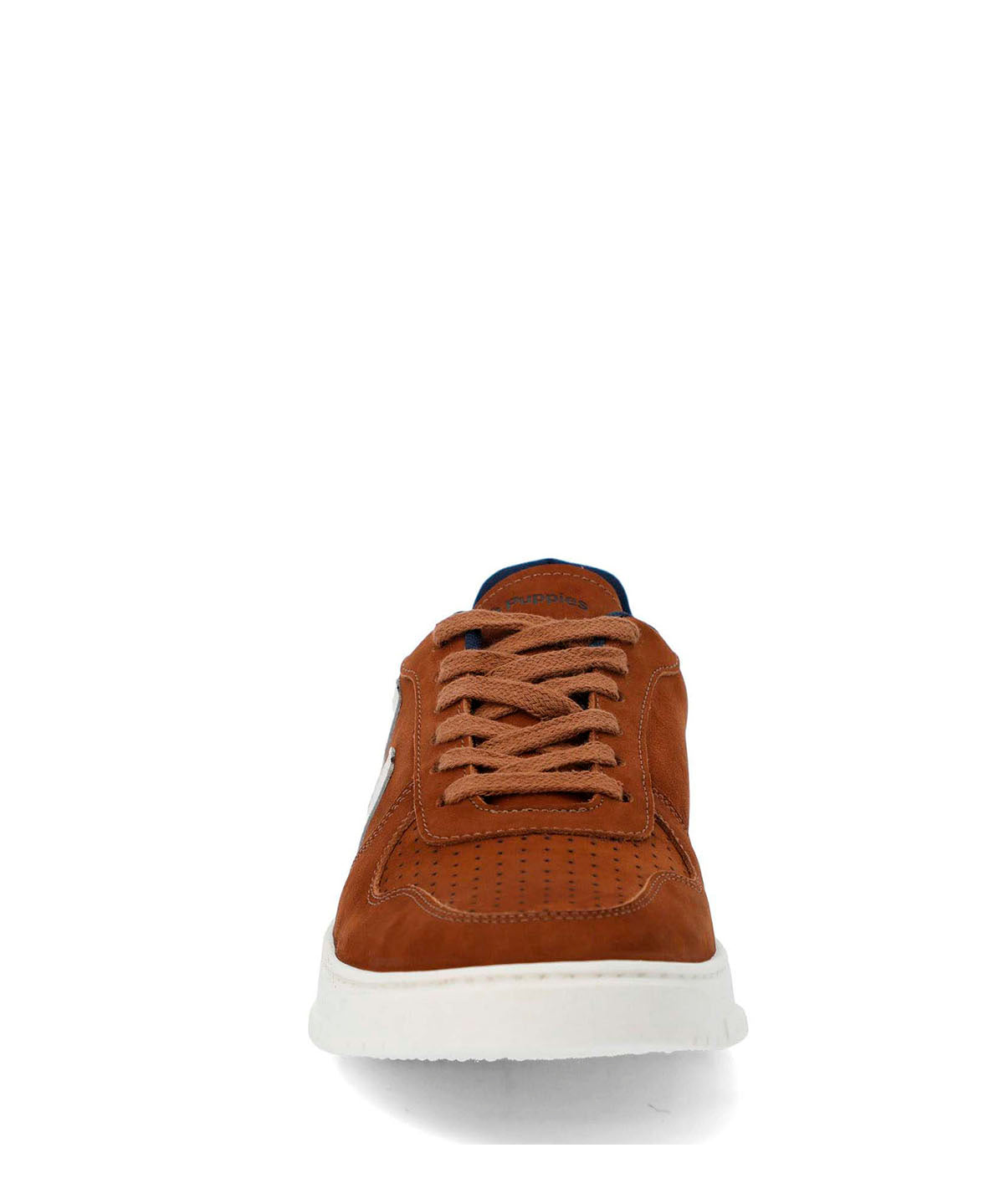 Zapatilla Cuero Hombre Philippe Café