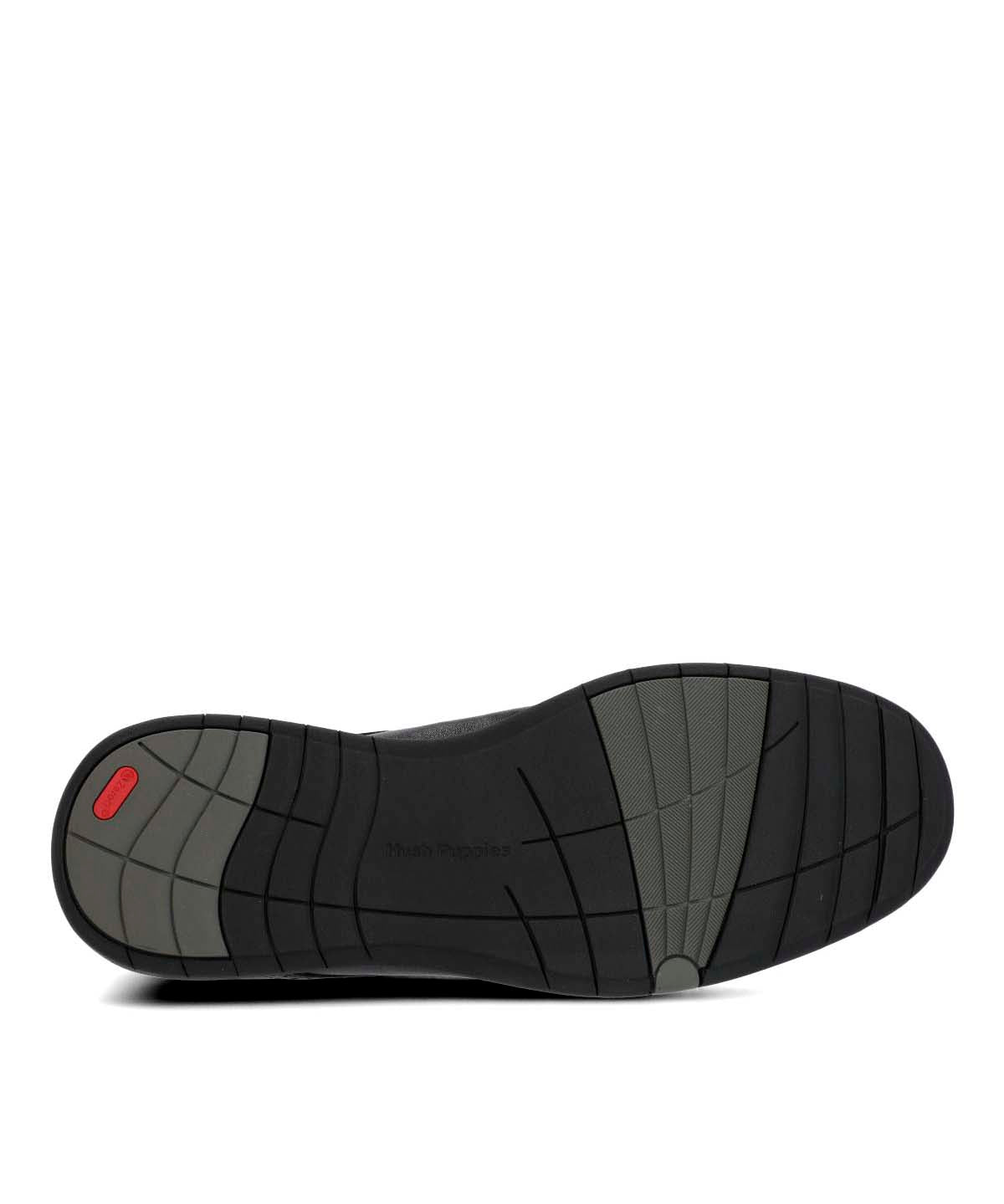 Zapato Cuero Hombre Sequio Negro