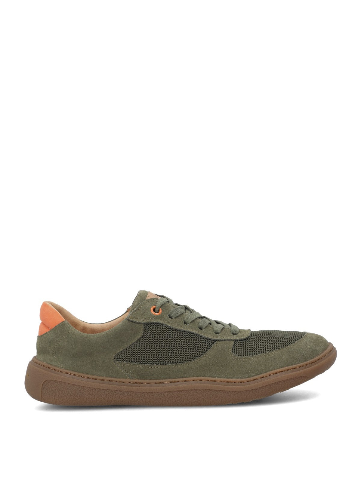Olive[176