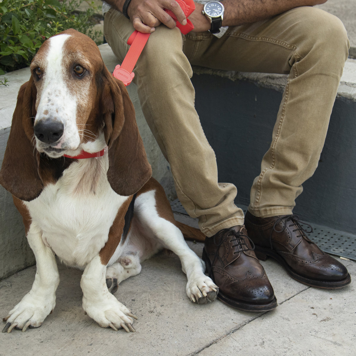 Zapato Hombre Bradford
