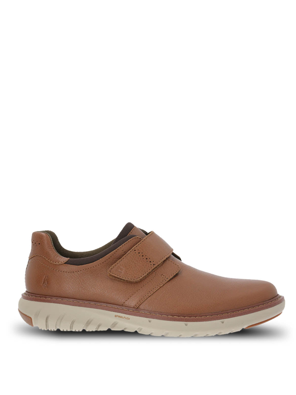 TAN[041