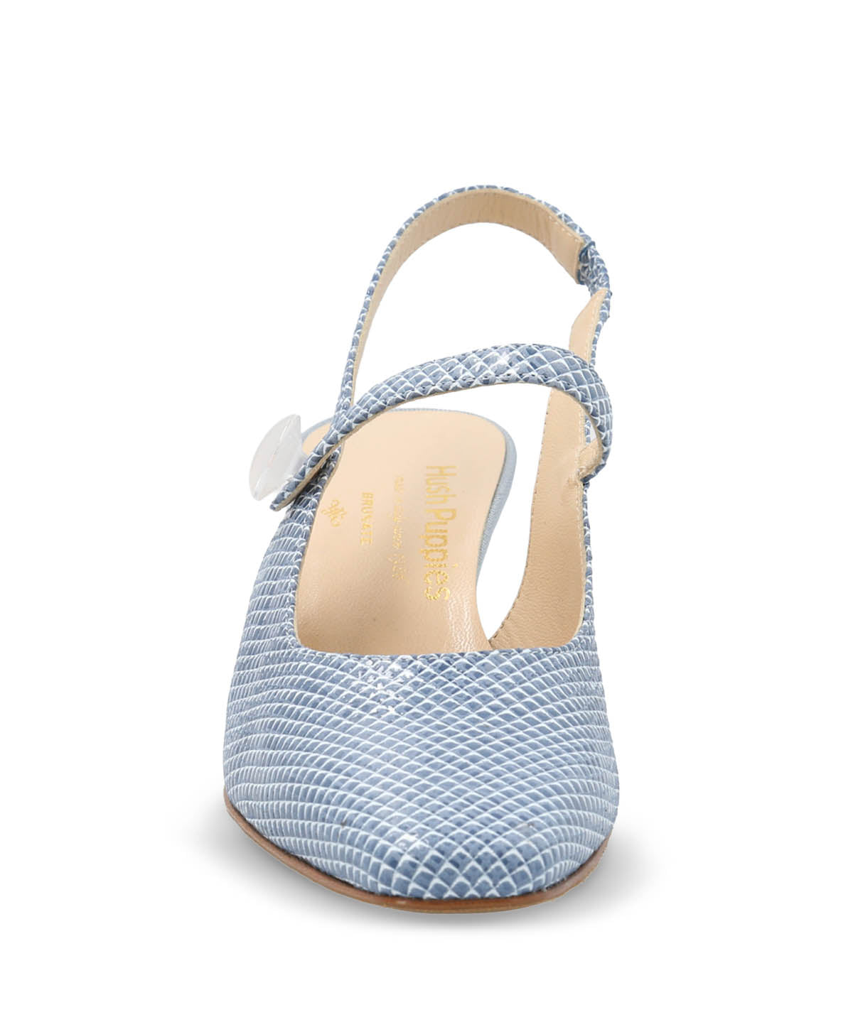 Zapato Brunate Cuero Mujer Alida Celeste