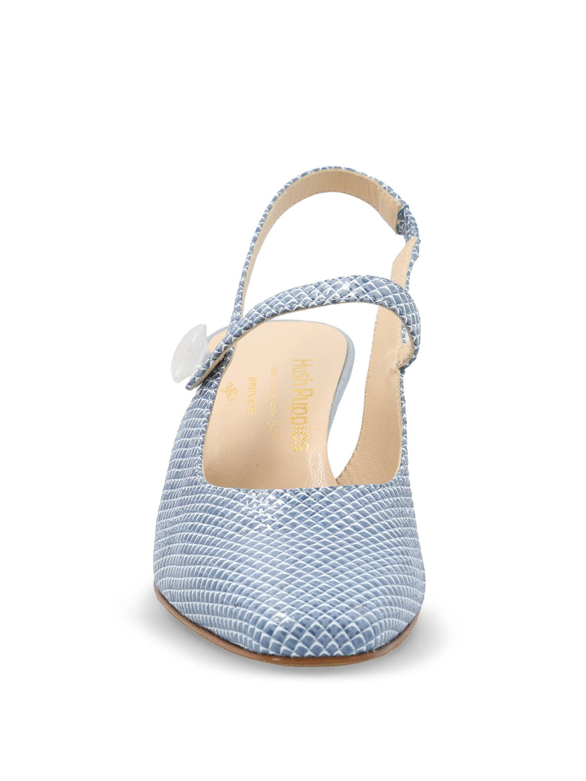 Zapato Brunate Cuero Mujer Alida Celeste