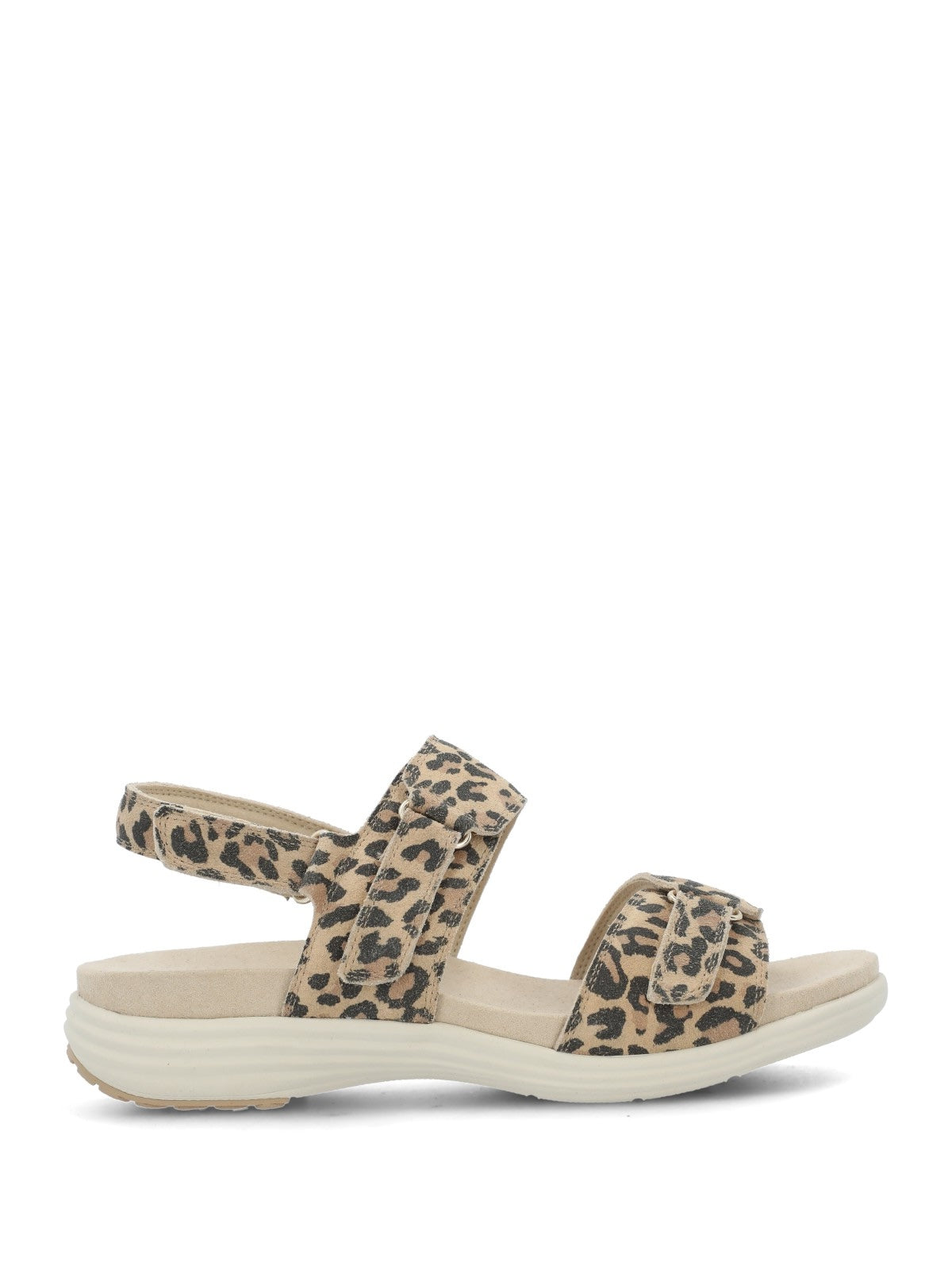 Leopardo