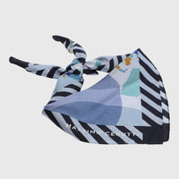 Pañuelo Seda Mujer Cerutti Greta Scarf Azul Hush Puppies