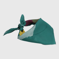 Pañuelo Seda Mujer Cerutti Gemma Scarf Verde Hush Puppies