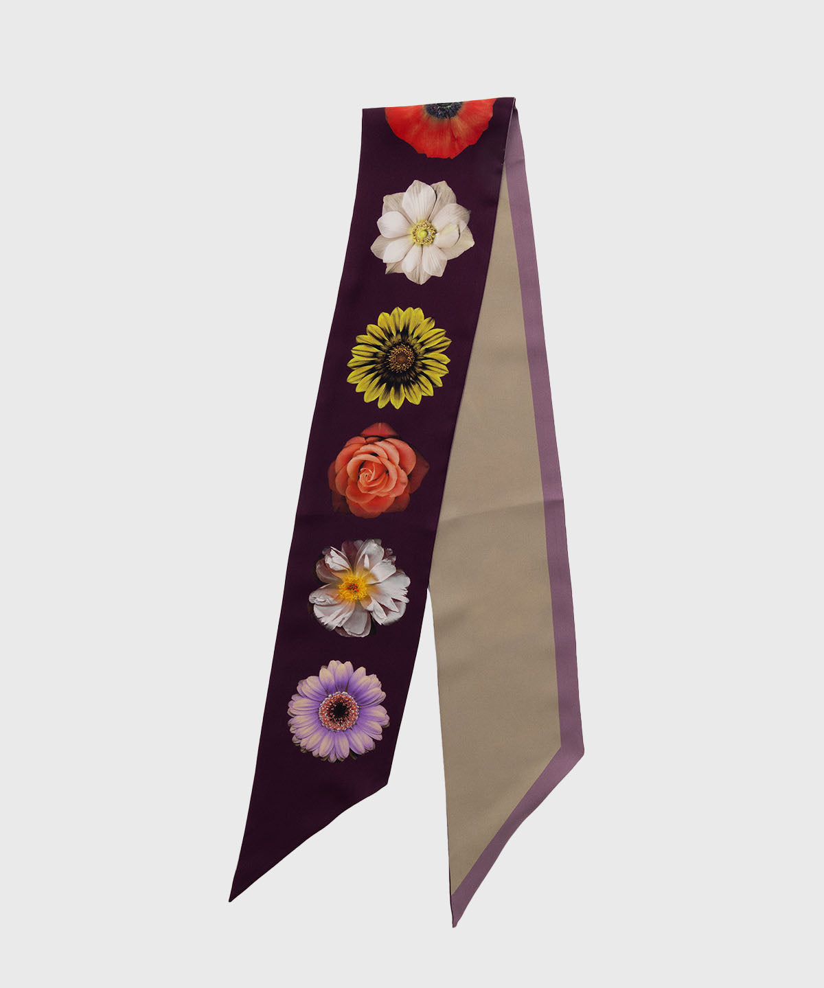 Pañuelo Seda Mujer Cerutti Stef Scarf Morado Hush Puppies