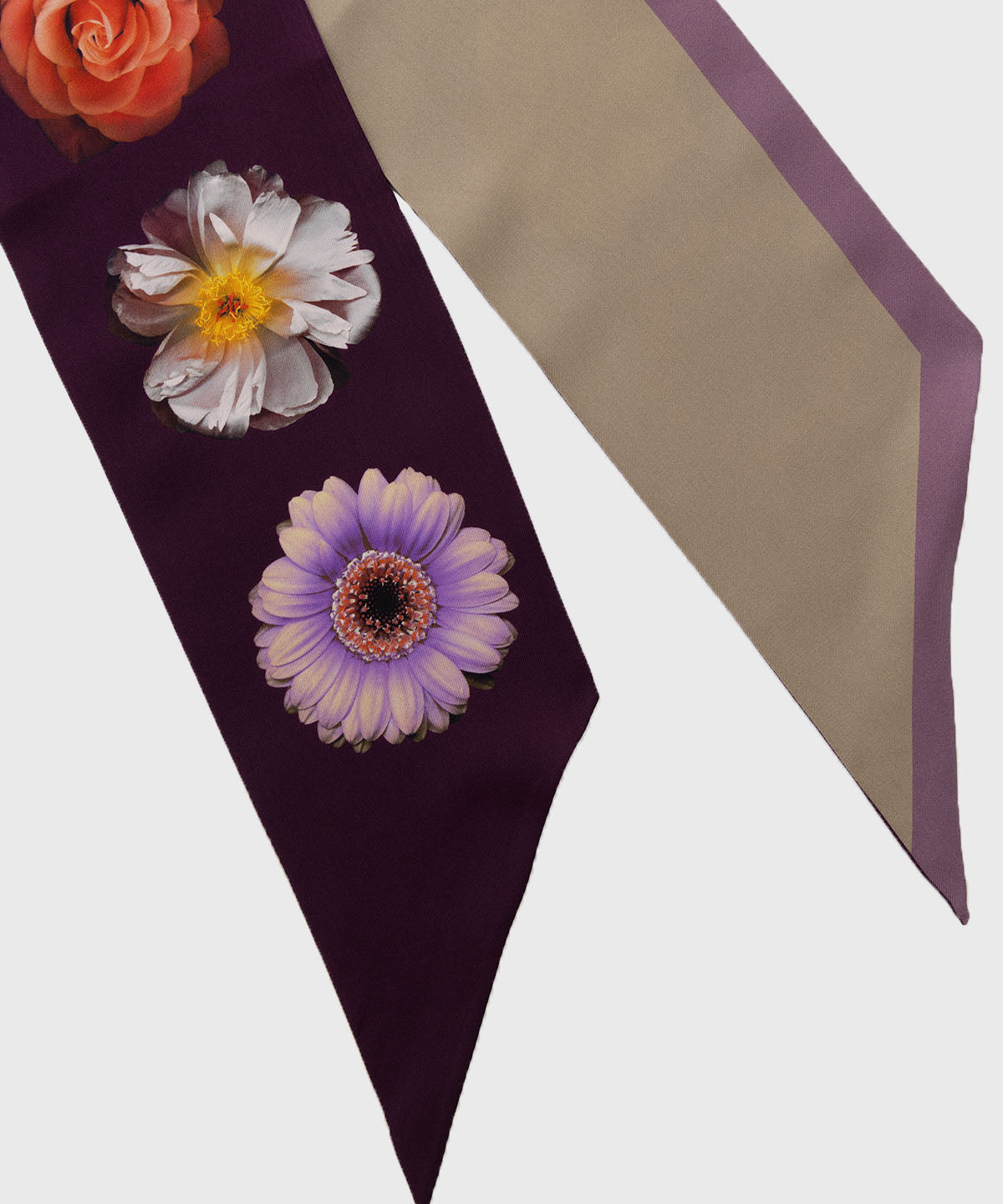 Pañuelo Seda Mujer Cerutti Stef Scarf Morado Hush Puppies