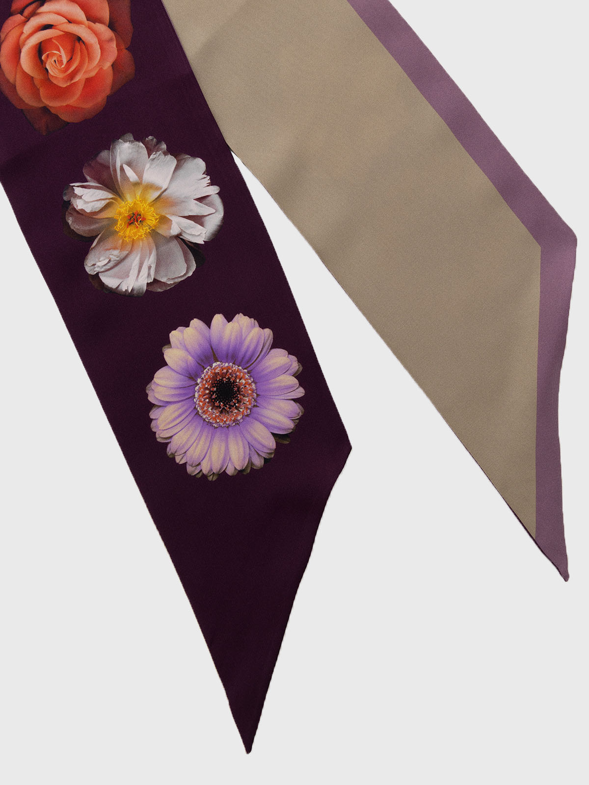 Pañuelo Seda Mujer Cerutti Stef Scarf Morado Hush Puppies